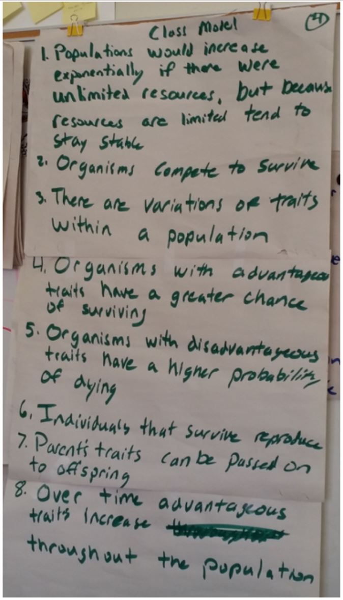 sample classroom model for natural selection on chart paper