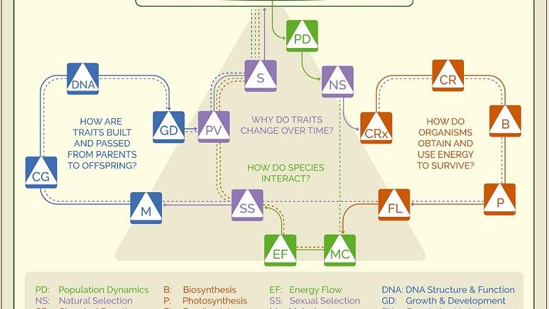 MBER Biology Curriculum Map (The Subway Map)