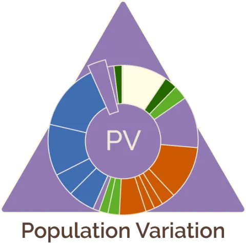 triangle-and-time-wheel-icon-for-population-variation-the sixteenth-unit-in-MBER-biology