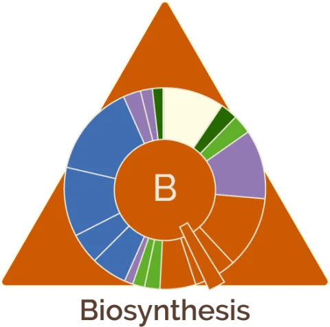 Biosynthesis