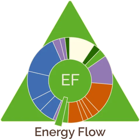 Energy Flow