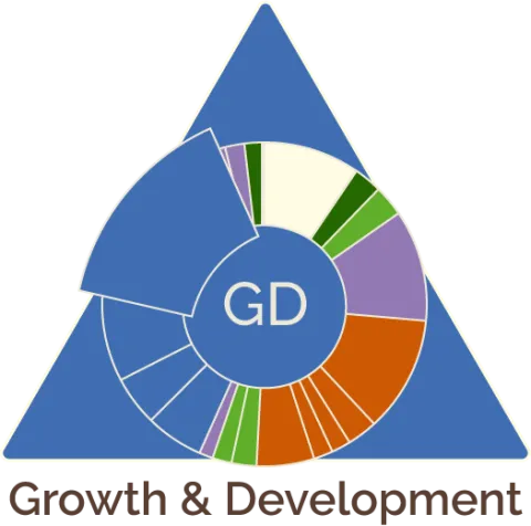 A blue triangle containing a pie chart, with each slice of the chart representing a different model triangle lesson. A blue slice near the bottom left of the chart is highlighted, representing the Growth & Development lesson. 