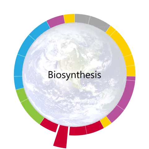 time wheel icon for the eleventh unit in living earth bio - biosynthesis