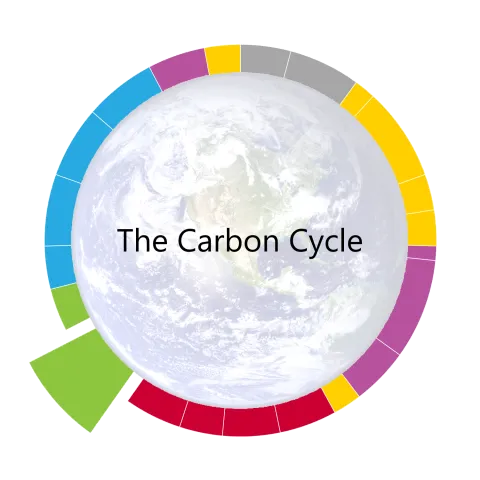 pacing guide wheel for the carbon cycle the thirteenth unit of the year
