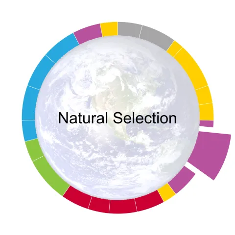 pacing guide wheel for natural selection the sixth unit of the year