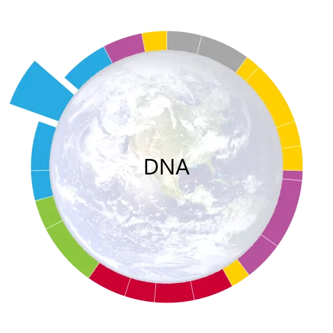 time wheel icon for the seventeenth unit in living earth bio - DNA structure and function
