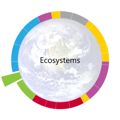 pacing guide wheel for ecosystems the fourteenth unit of the year