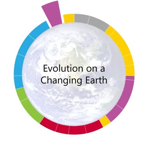 time wheel for the twentieth unit in living earth bio - evolution on a changing earth