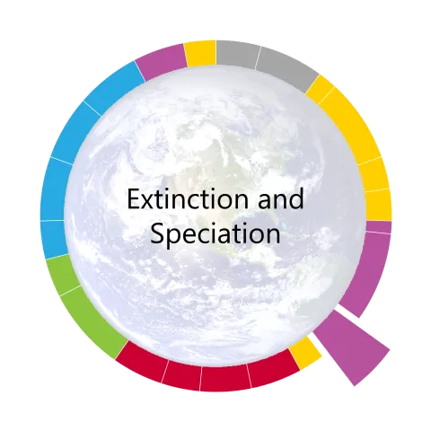 pacing guide wheel for extinction and speciation the seventh unit of the year