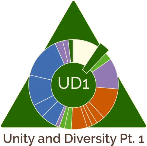 time wheel for the first unit - unity and diversity