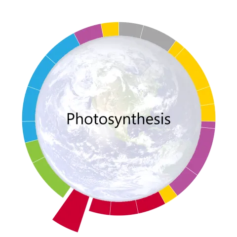 pacing guide wheel for photosynthesis the twelfth unit of the year