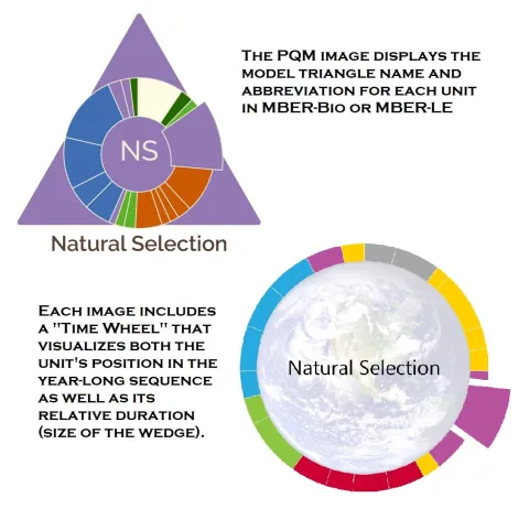 p-q-m images for natural selection displayed side by side and annotated to explain the time wheel