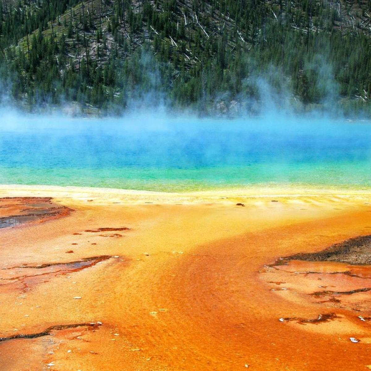 the hot springs at Yellowstone park