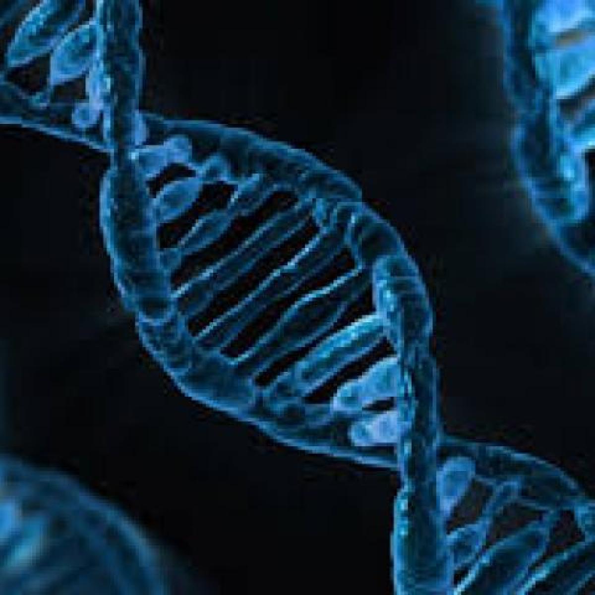 DNA strands as view through a microscope