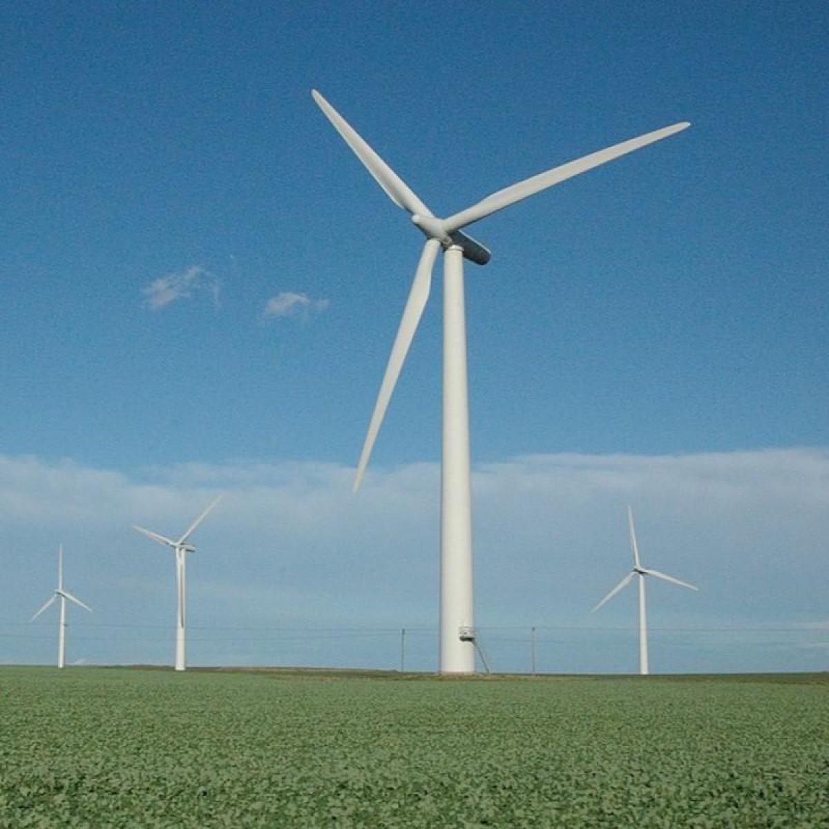 wind turbines in a large open grassland