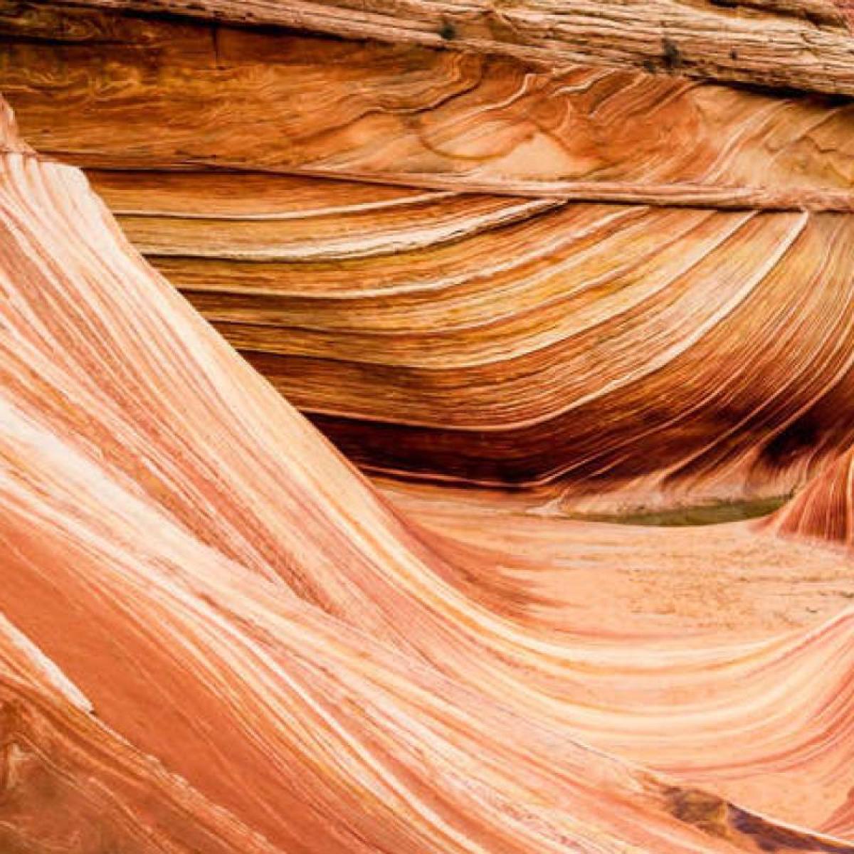 an image of the rock wave in the Grand Canyon
